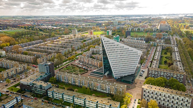 Haagplanten: jouw complete keuzehulp voor een groen project